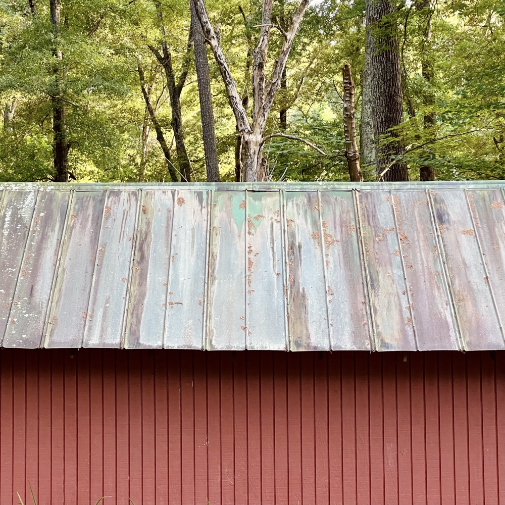 THANK YOU FOR TAKING CARE OF ME