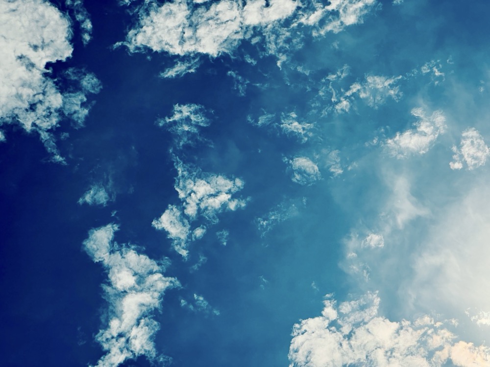 I KNOW THIS MUCH IS TRUE