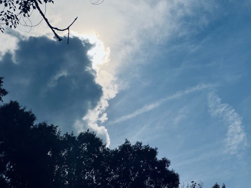 VERY LARGE SCALE INTEGRATION