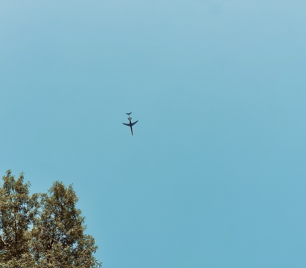 ZIONIST FIDGET SPINNER