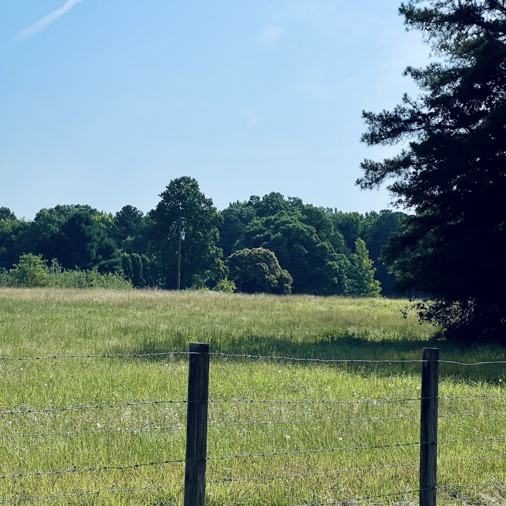 PASTORAL HEADSPACE COLLECTIVELY