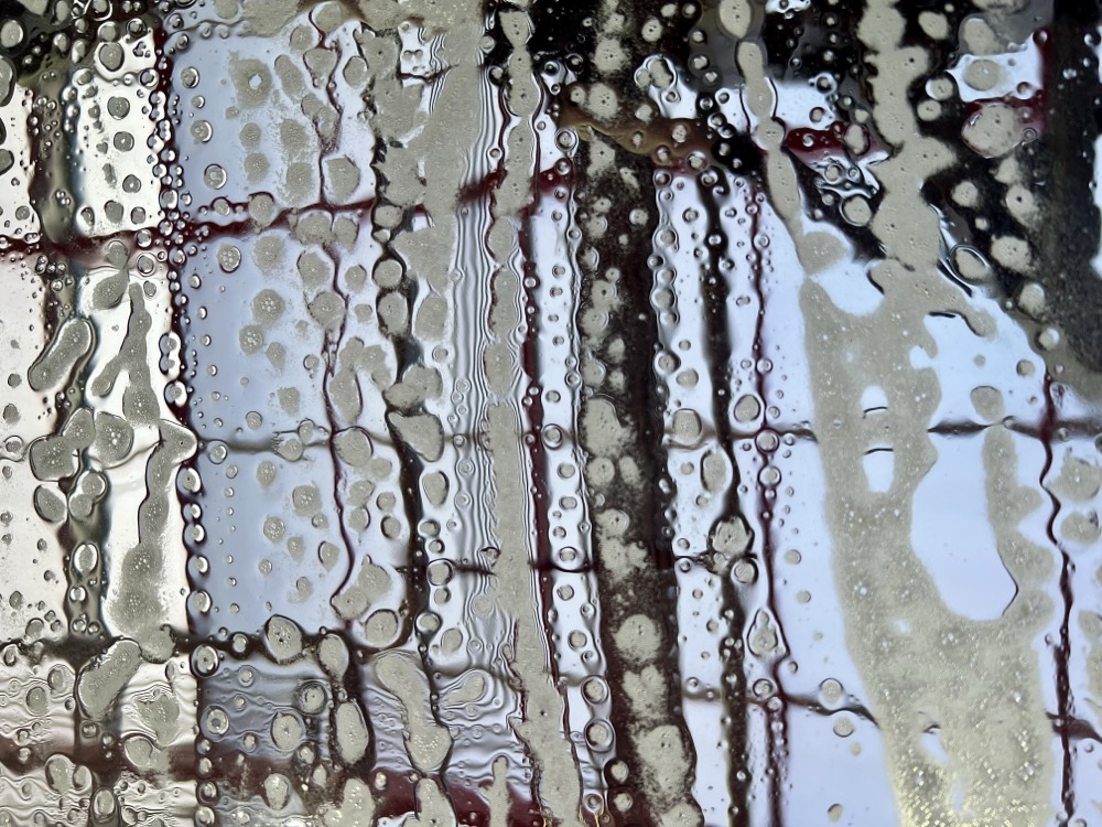 MEMBERS ONLY SUICIDE PACT