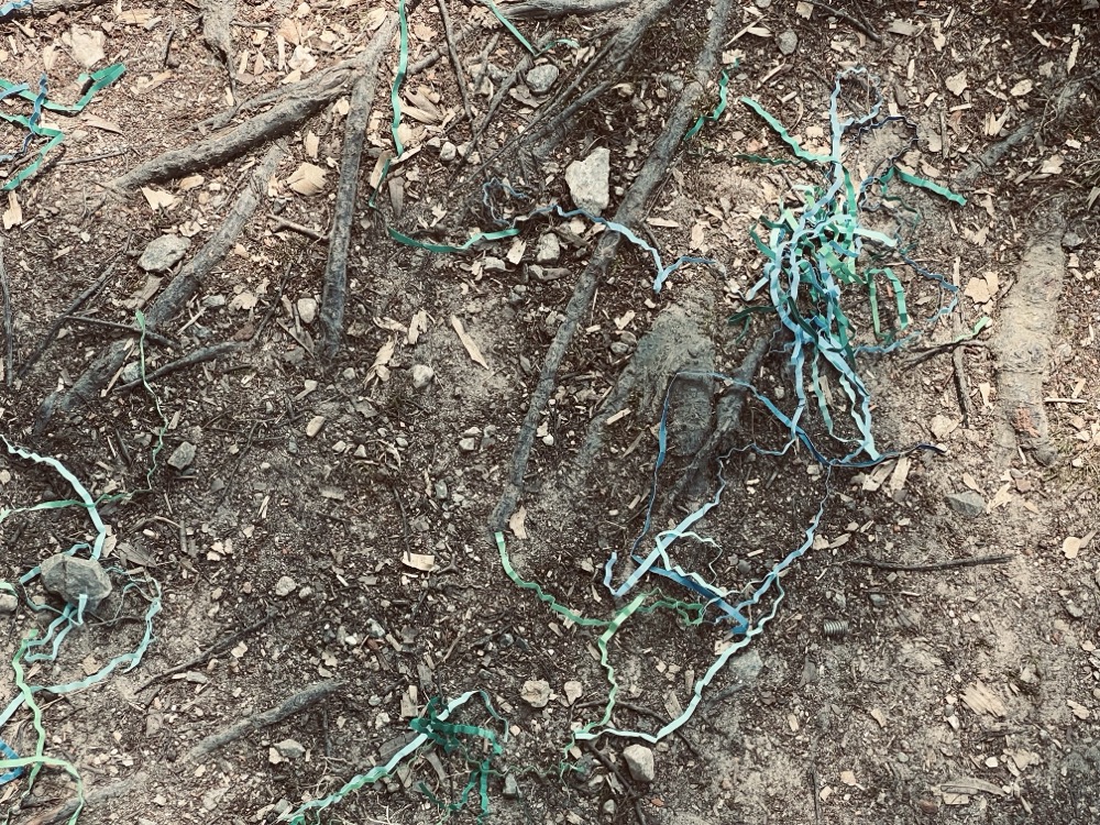 CURMUDGEON RAVE ERA CELEBRATED