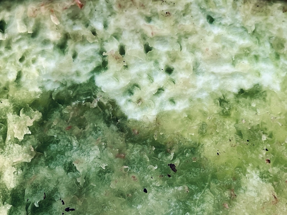 REASONS TO DIE OR LIVE FOREVER