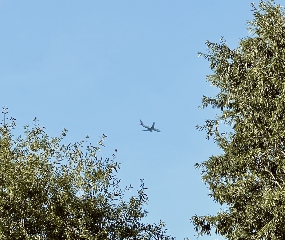 TRIPLE JESUS SUPERCOMPUTER BUFFALO