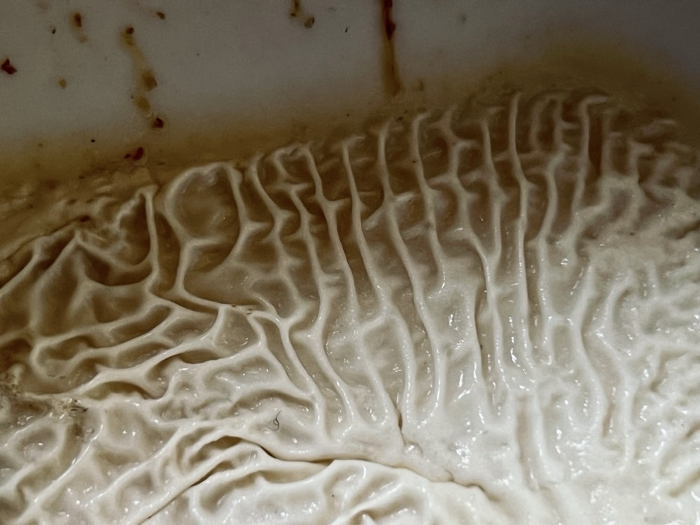 MESOPHOSPHATE REDEDUCTION COLLABORATIVE