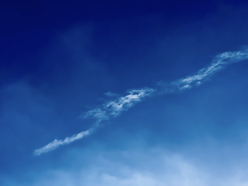 LIPIDS ARE HYDROPHOBIC