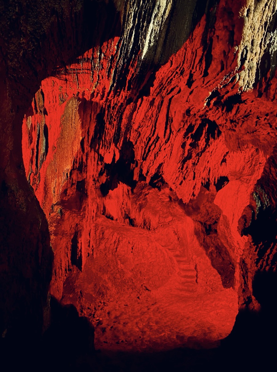 EZEKIEL SECOND COMING TURTLE JESUS