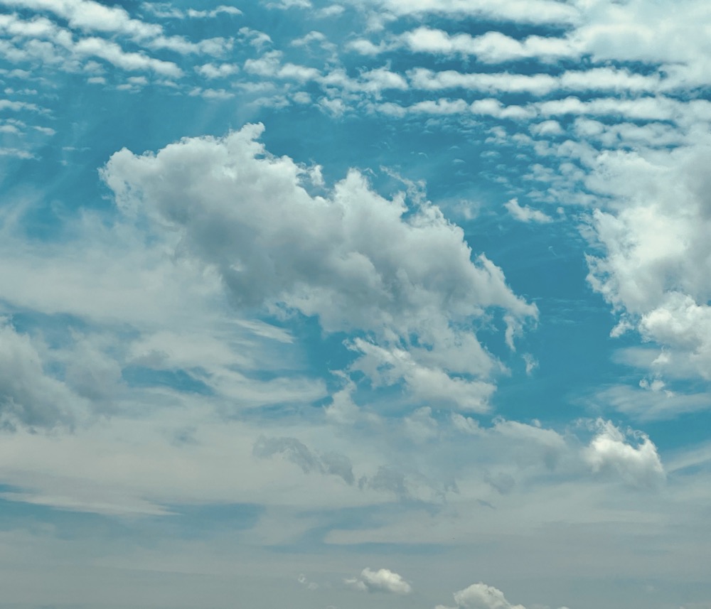 DESTITUTE MODEL INFERENCE