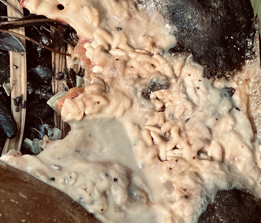 SUBLINGUAL NANTUCKET BAROMETER