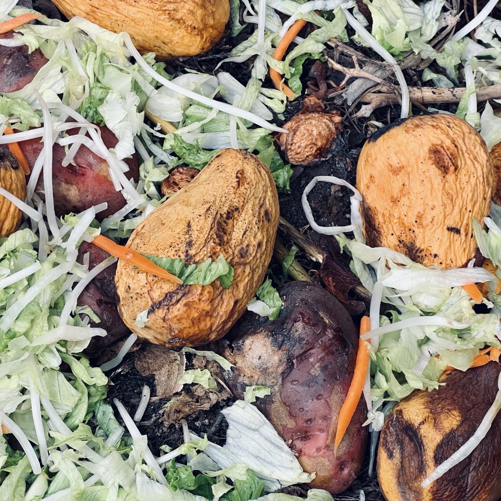 FILTH ORDINAND CRUNCH ASS PIZZA TIPS