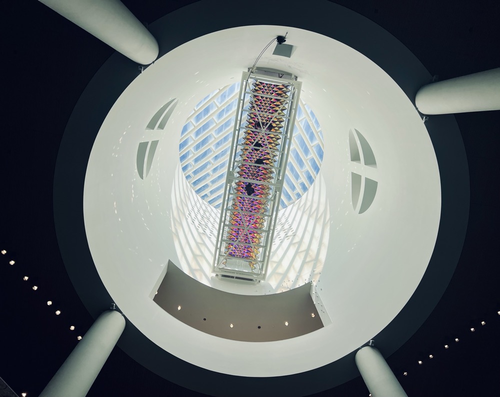 VESICLE MICRO PULSE WETNESS DISORIENTING