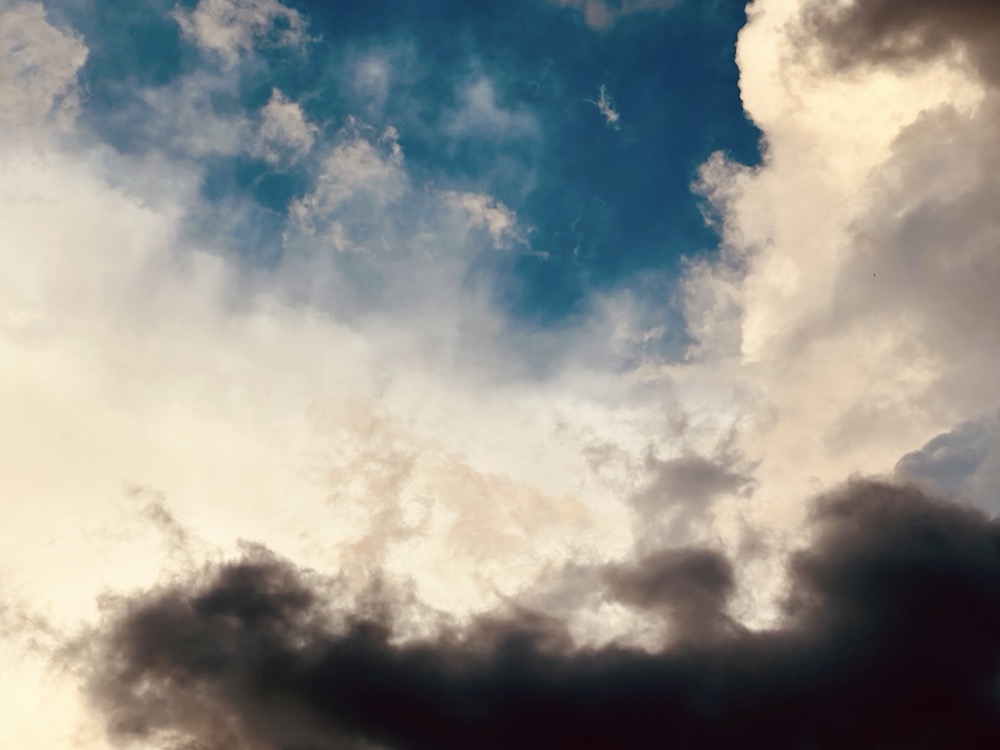 DO YOU LIKE DINOSAURS