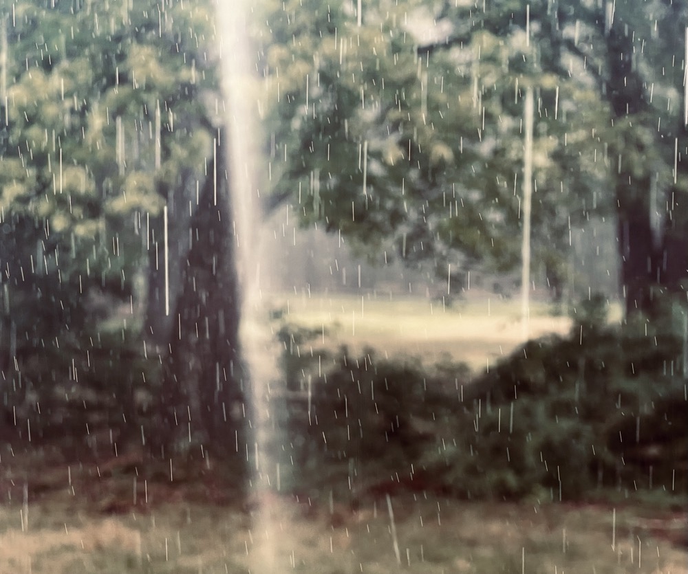 ZYGOTE HOMEOWNERS ASSOCIATION