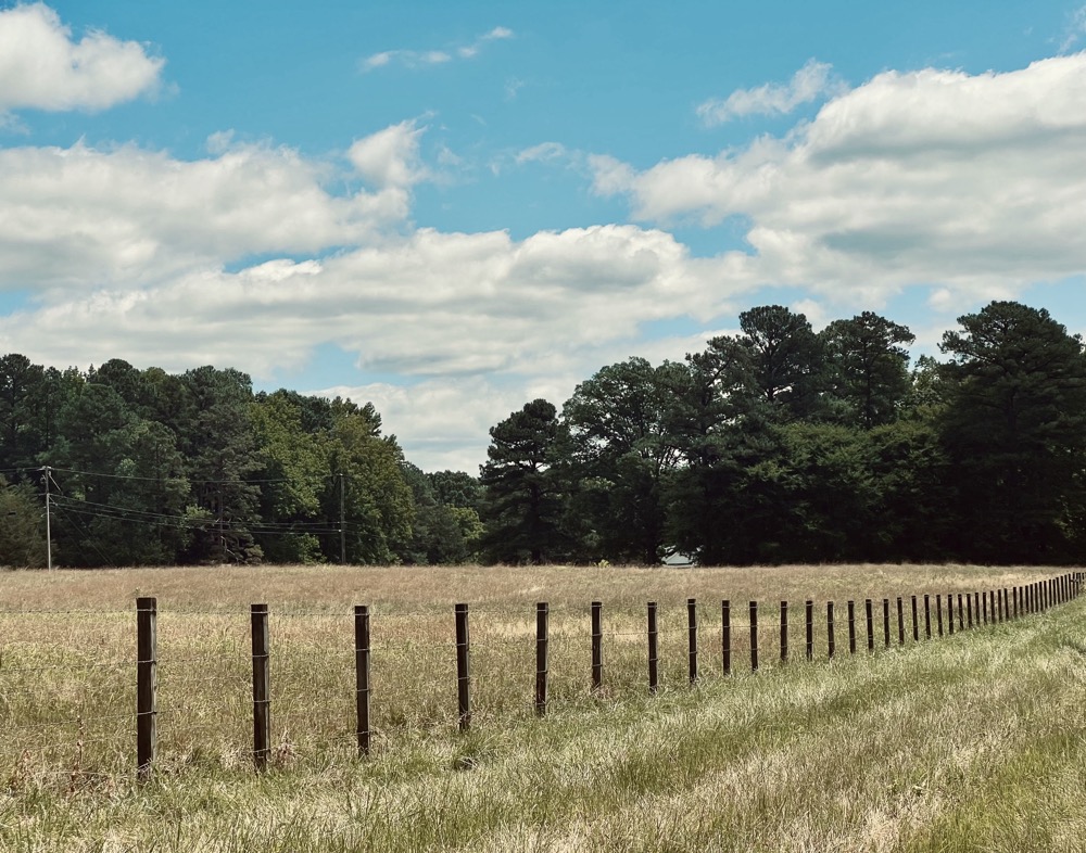 LUMINAL SIMULATION DYNAMIC