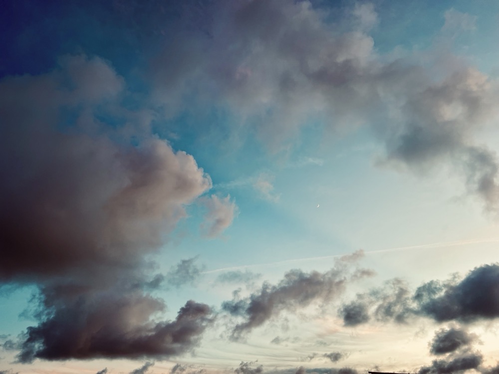 HYPED DELICATE CAPRICE MOLO