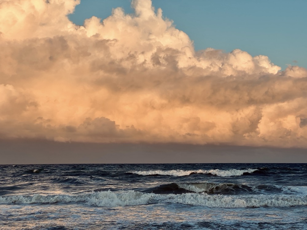 DICHLORODIPHENYLTRICHLOROETHANE