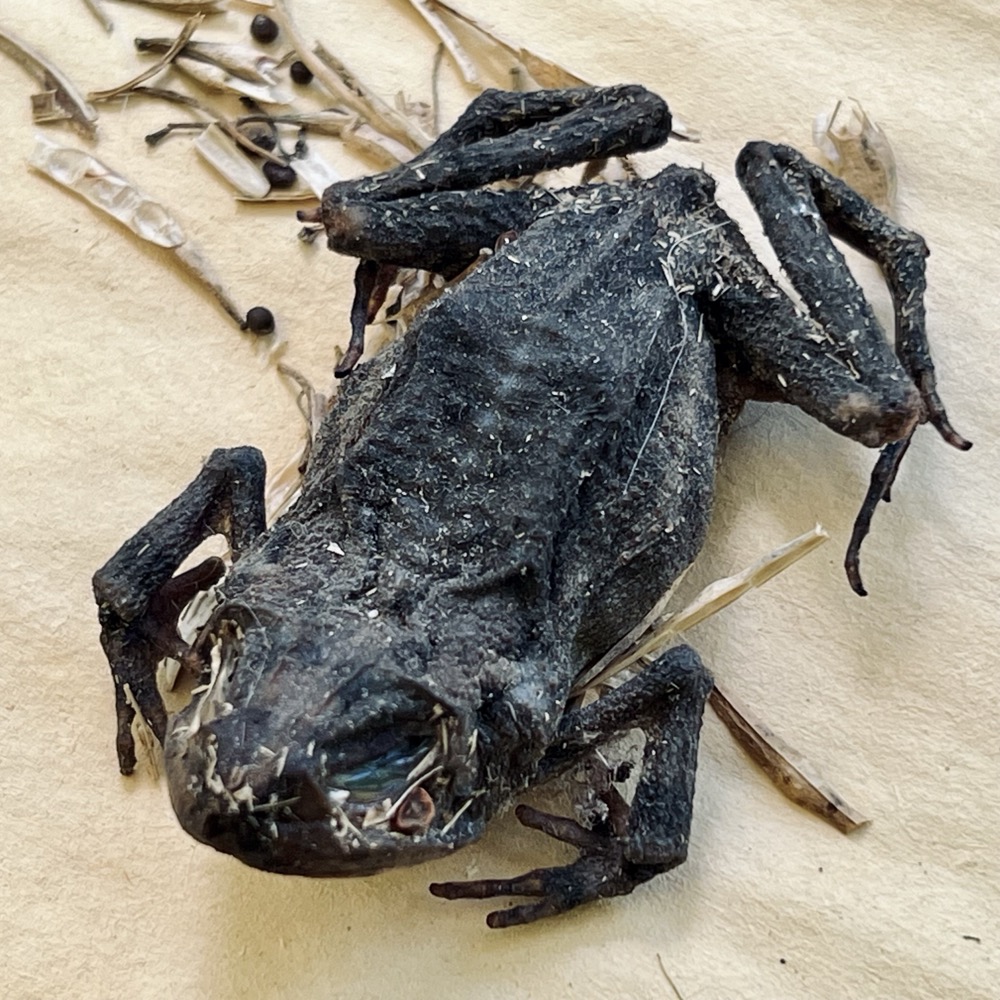 DELICATE MOMENTS WITH LOVED ONES