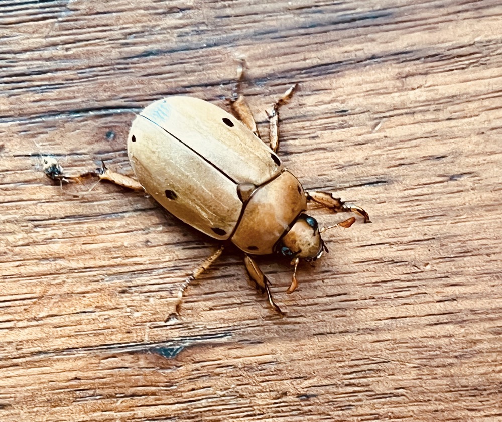 YOU INSPIRE GREATNESS