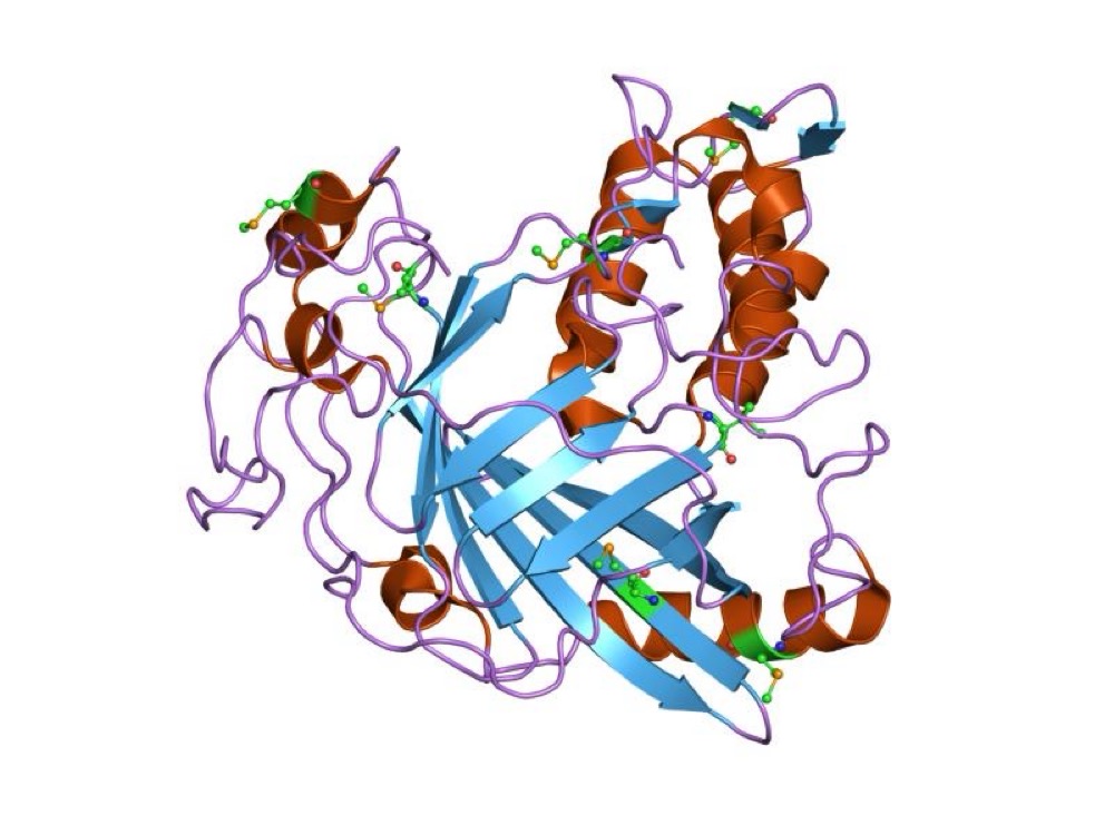 DINOFLAGELLATE LUCIFERASE CATALYTIC DOMAIN