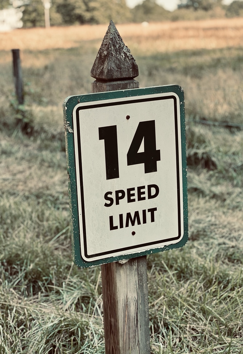 PENTACHLORONITROBENZENE