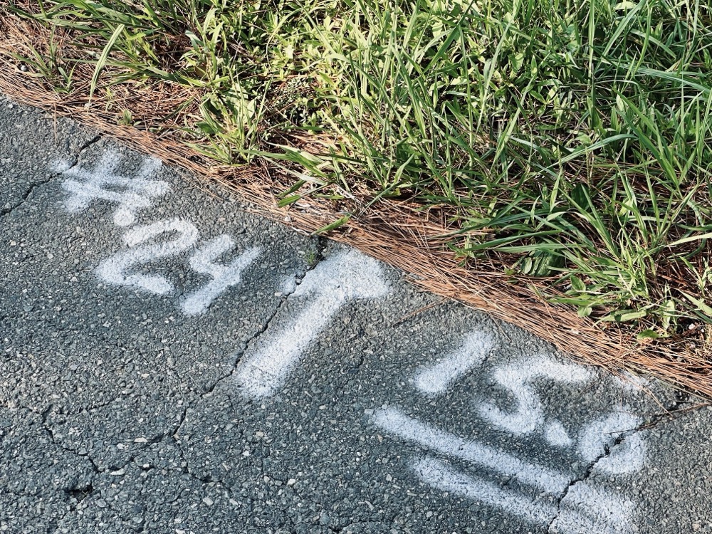 EMBARRASSMENT 2 EVERYONE