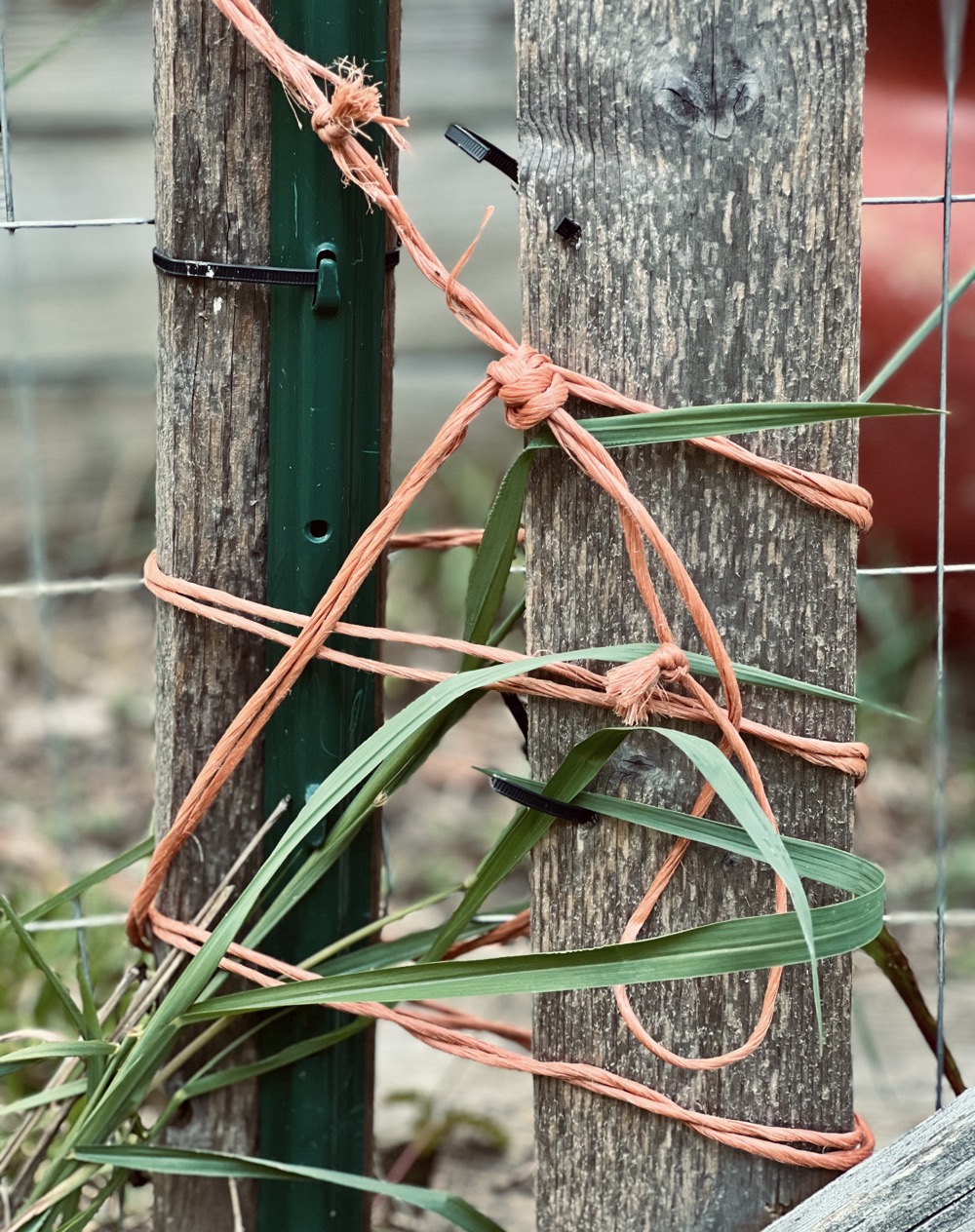 ENCRUSTED HYPERCONDUITIC CONGRUENCY