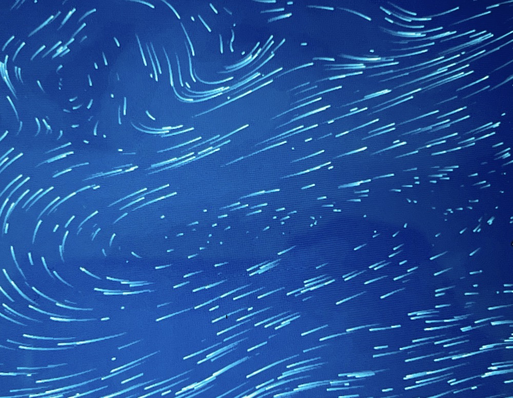 RESIDUE NEGLIGENCE OPERAND