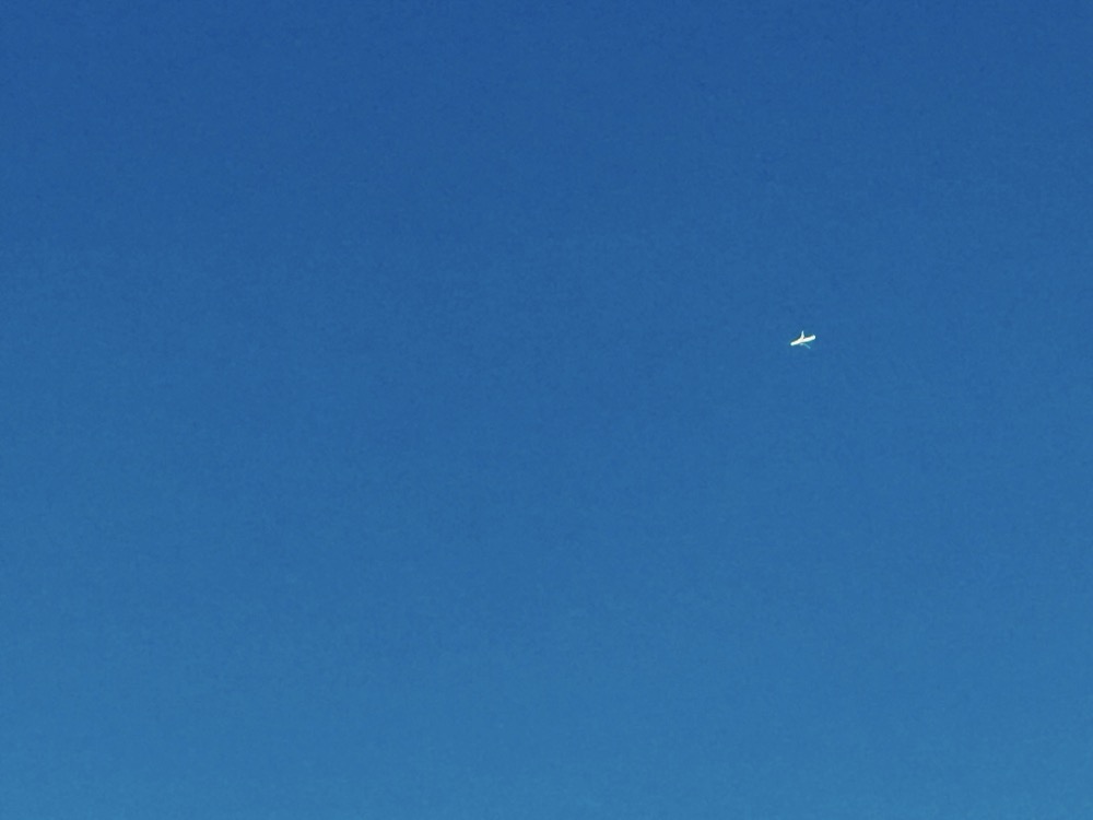 REPTILIAN ASSAULT FORCE