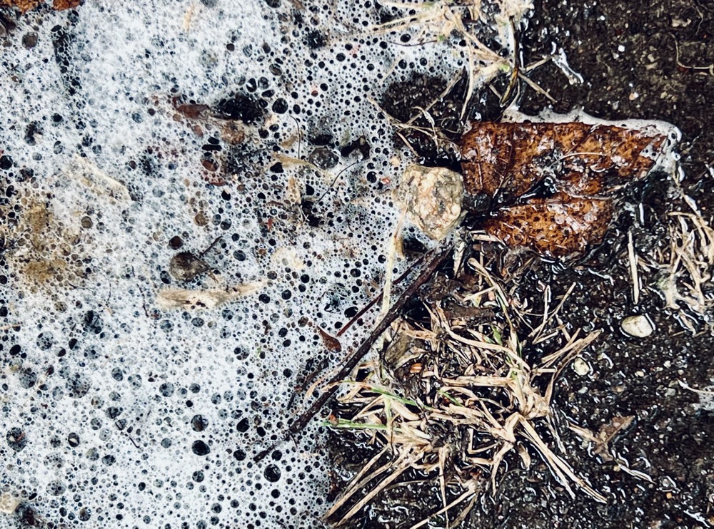 HOMOGENIZED VALPROATE FROTH