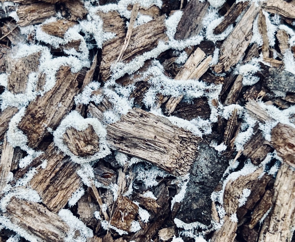 FLAGRANT AN EXPRESSION