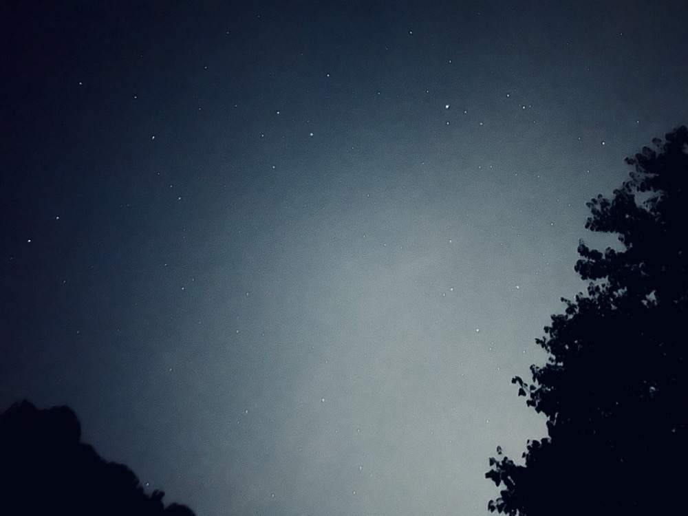 DESOLATE GERUND HOMO DELICATE