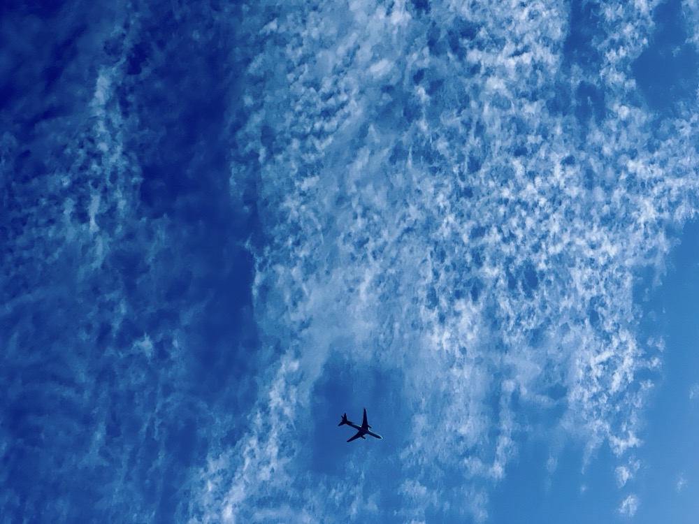 HUXTABLE CONSCIOUSNESS