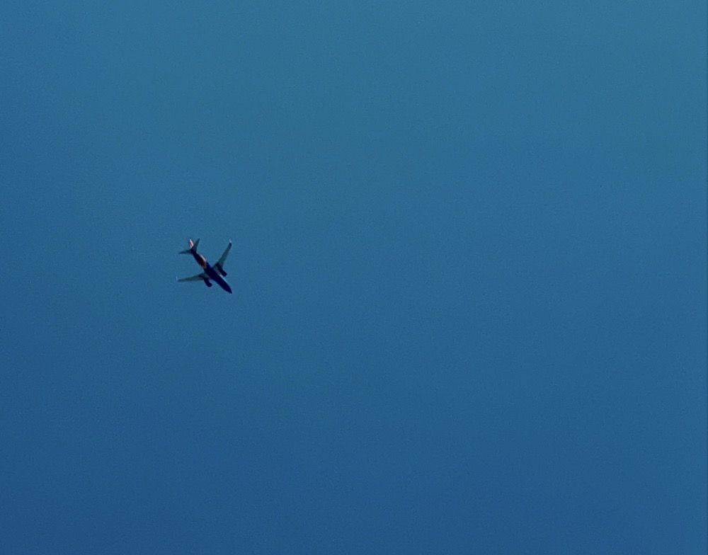 HORTICULTURE DESTINATION