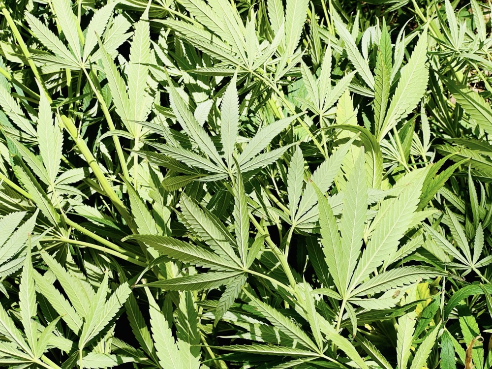 UTTER DESOLATENESS IRONIC DON’T YOU THINK