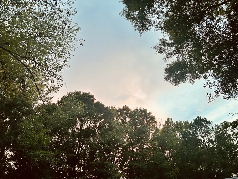 FEELING OF STILL BEING ALIVE AND NOT DEAD YET