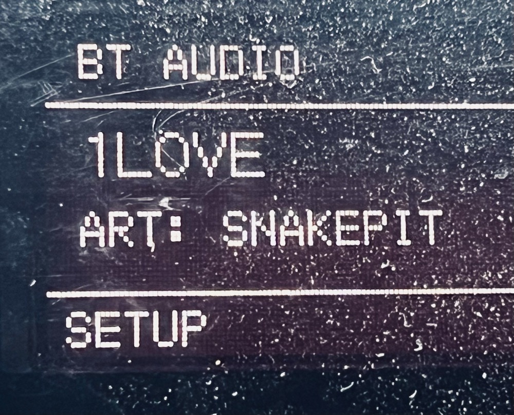 TRAUMA IDENTITY VOLUPTUOUS