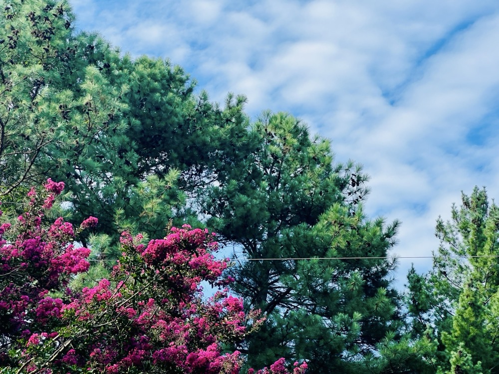 DEMON.NEXT(MALFEASANCE: TRUE)