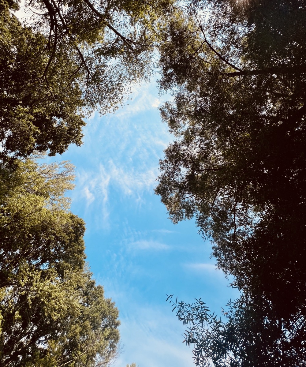 MULTIHOLOGRAM BIRTH FOAMED GEL PISTIL