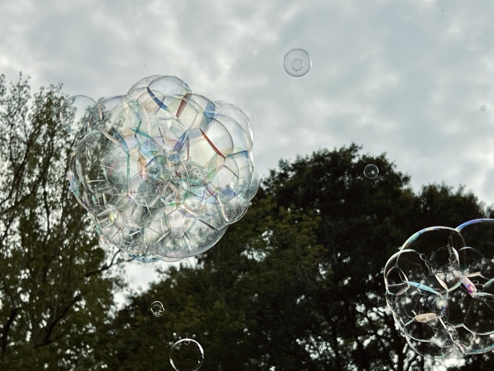 HALCYON MITOCHONDRIAL