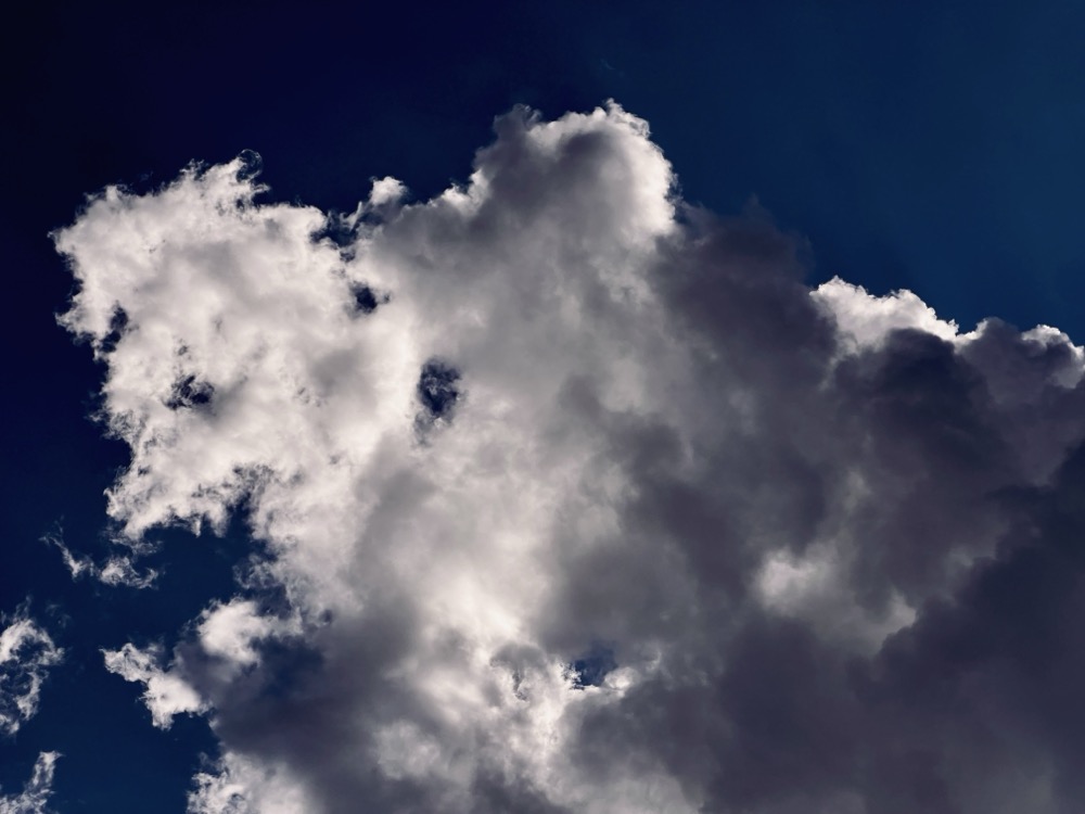 HIGHLINE PINNACLE MOST EXCELLENT