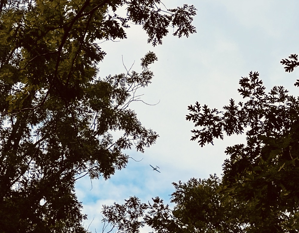 BISMUTH MOTHERFUCKERS