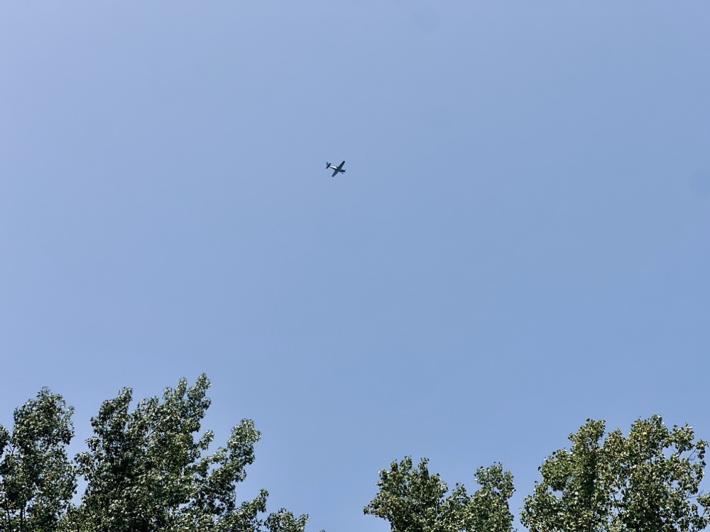 FORMER CTO OF SUBWAY