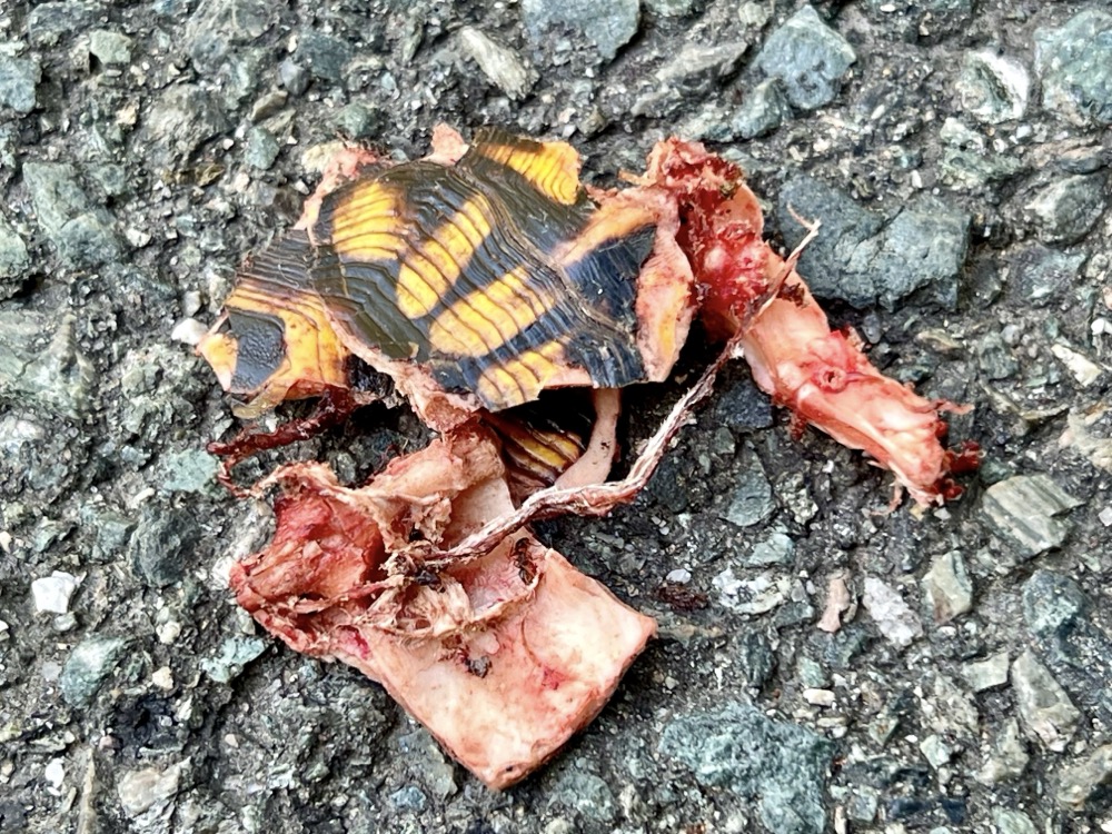 EXERCISE RING CLOSED