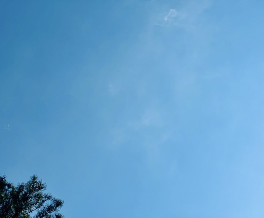 INTO THE MOUTHS OF TWO ANGELS