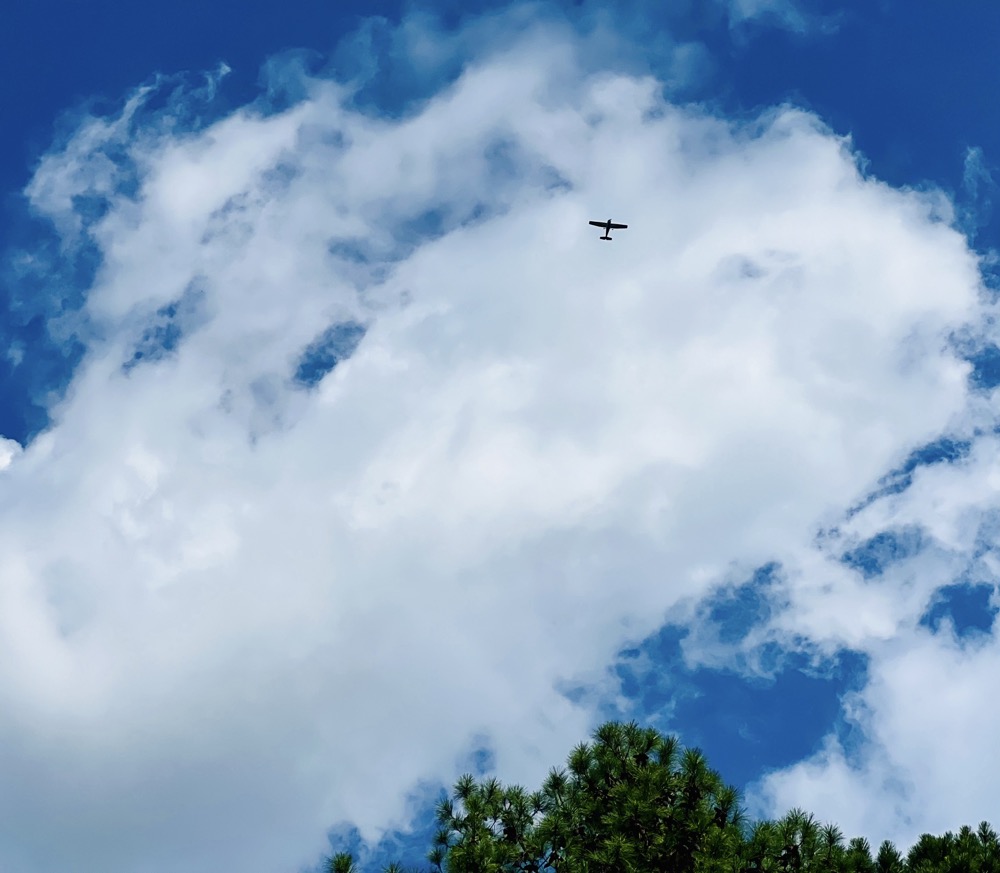 PRECALCULATED EMPATHY MATRIX