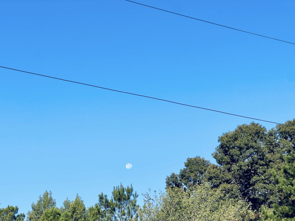 NIP THE TIP, MILK SPILLS & FROTH GATHERS