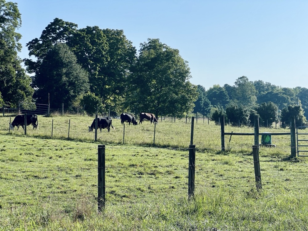 I TOOK OUT 100 CREWS