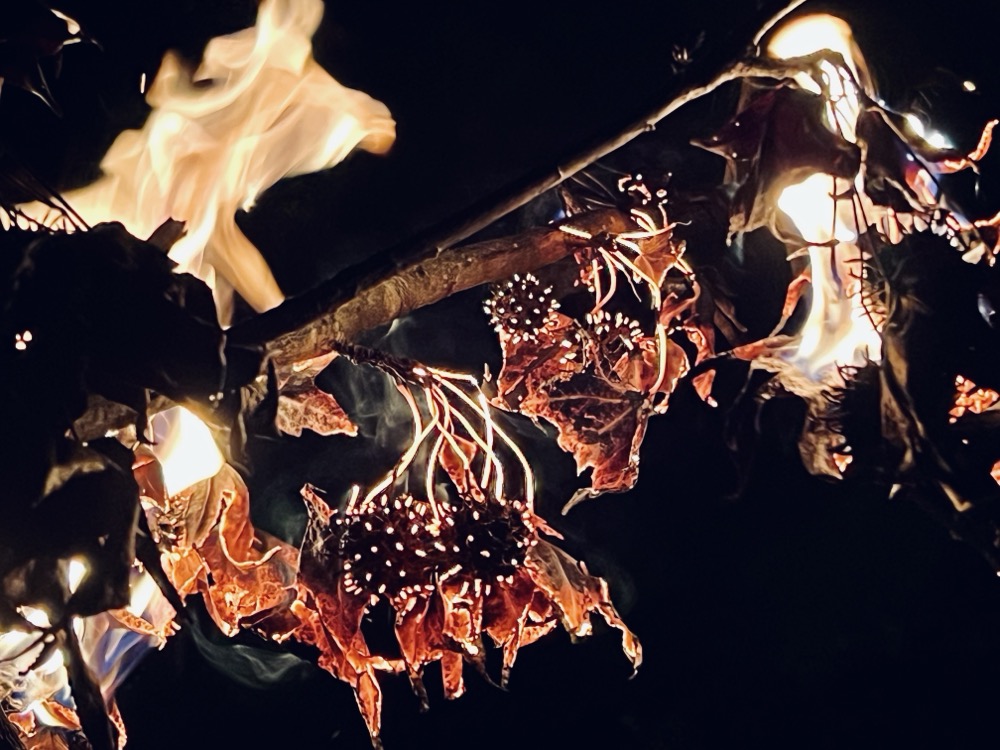 ARMAGEDDON VANQUISHED YOLO