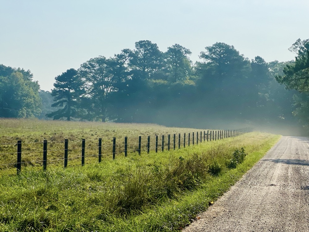 BISON GORGE HOMOLOGOUS